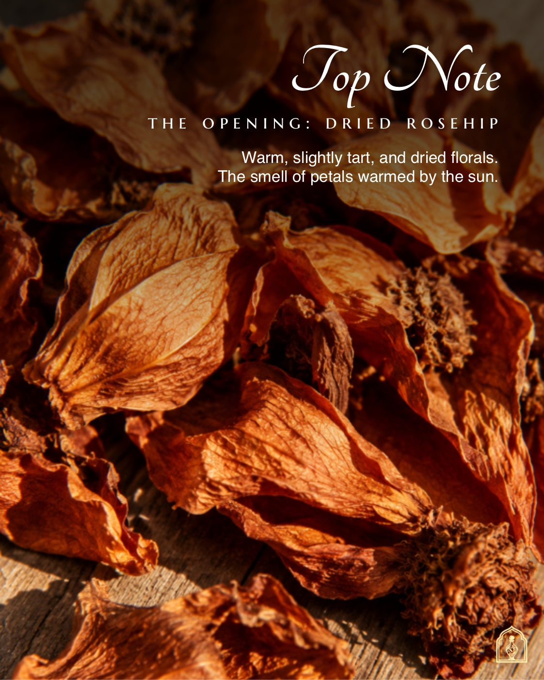 Dried rosehips with text describing their aroma on a dark background