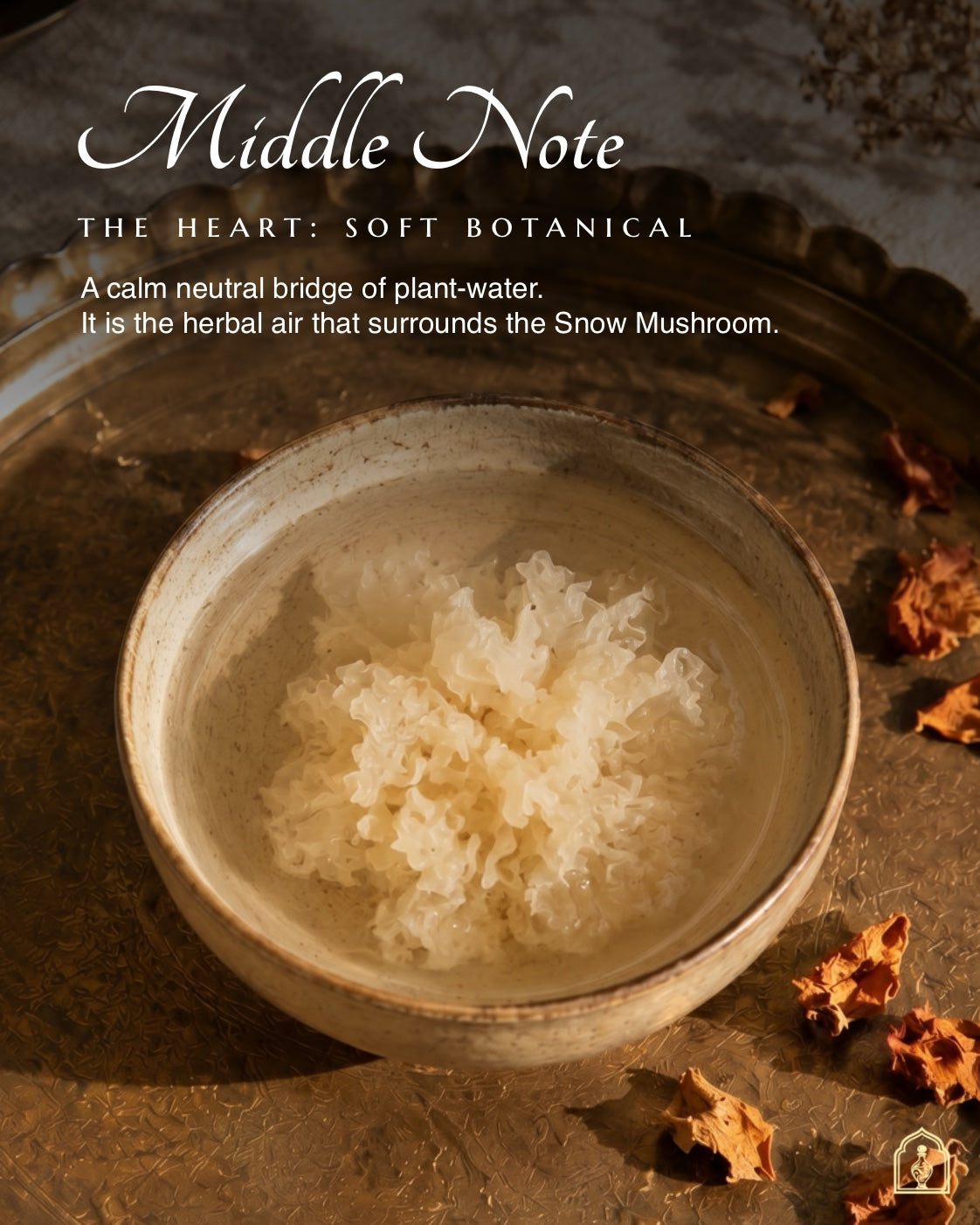 Snow mushroom in a bowl with text about 'Middle Note' and 'Soft Botanical' on a textured background.