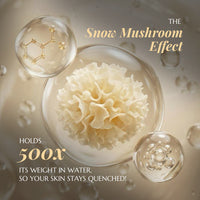 Snow mushroom with water droplets and molecular structure illustration on a beige background.