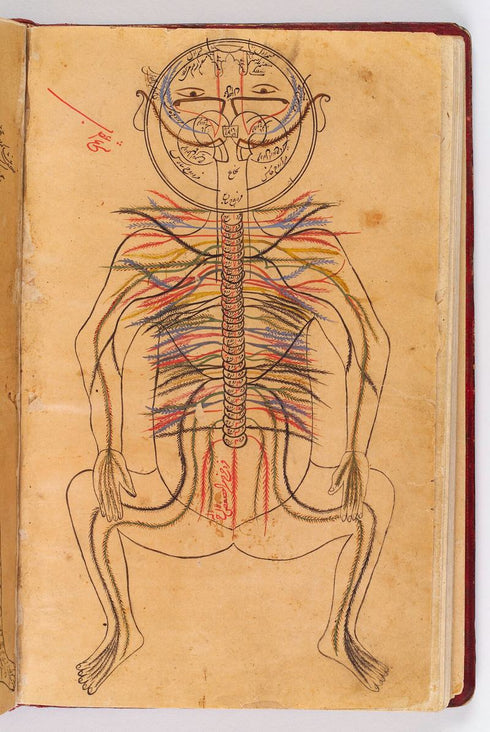 Page from Ibn Sina's Canon of Medicine