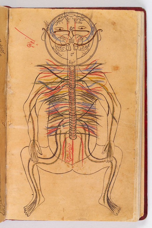 Page from Ibn Sina&rsquo;s Canon of Medicine. Wellcome Collection, CC BY 4.0.