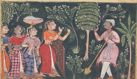 Scene from the Tuti-nama, Mughal India, about 1560. Cleveland Museum of Art, CC0.